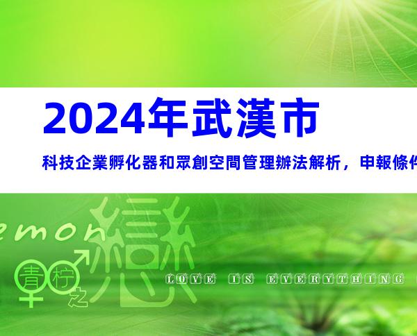 2024年武漢市科技企業孵化器和眾創空間管理辦法解析，申報條件、流程