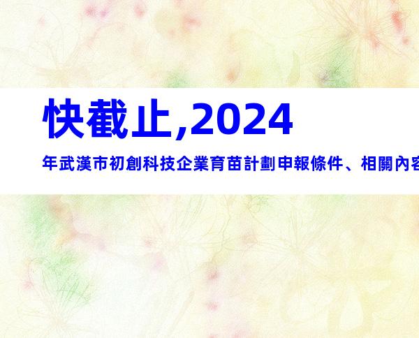 快截止,2024年武漢市初創科技企業育苗計劃申報條件、相關內容
