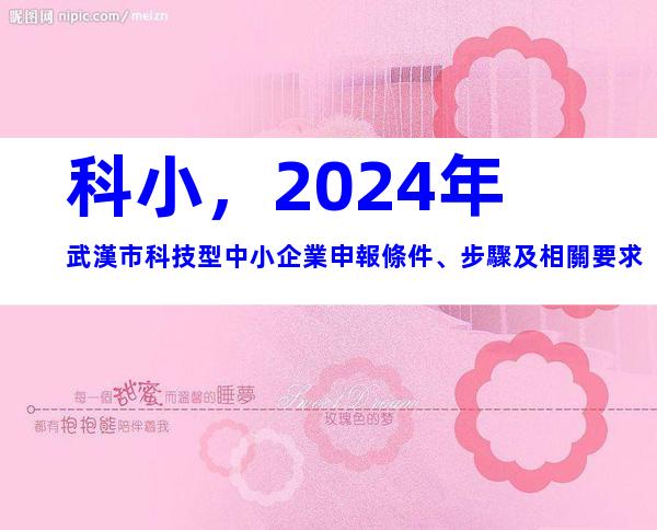 科小，2024年武漢市科技型中小企業申報條件、步驟及相關要求