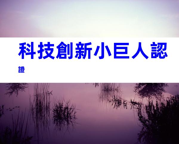 科技創新小巨人認證
